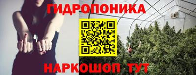 ПСИЛОЦИБИНОВЫЕ ГРИБЫ Кандалакша